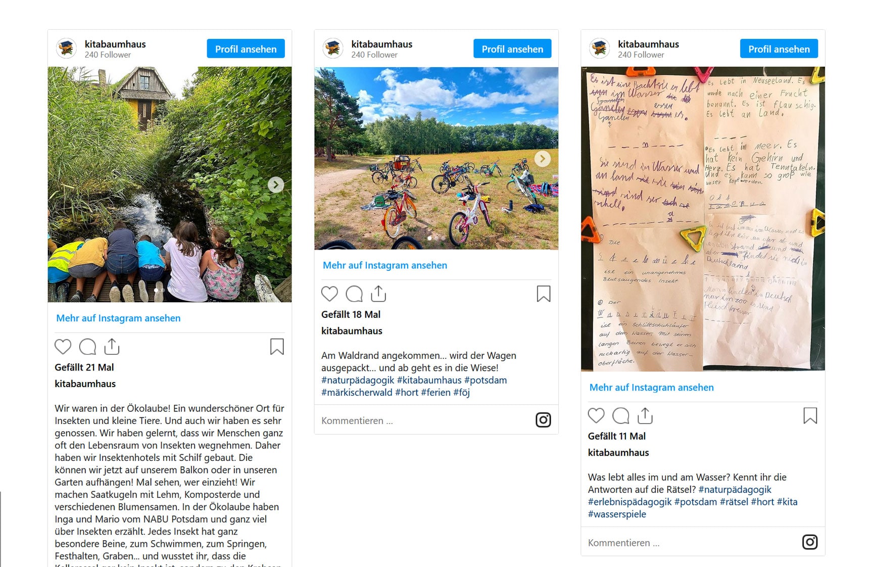 Beispiel Kita Baumhaus